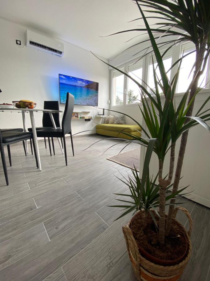 Apartment Centar Visnjik,
